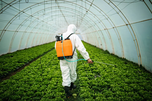 Reliable Marion, PA Pest Control Solutions