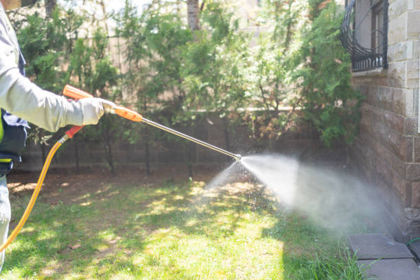Best Flea Control Services  in Marion, PA
